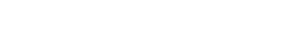Public-Private Alliance Foundation text logo.